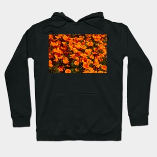 Afternoon Poppies Hoodie